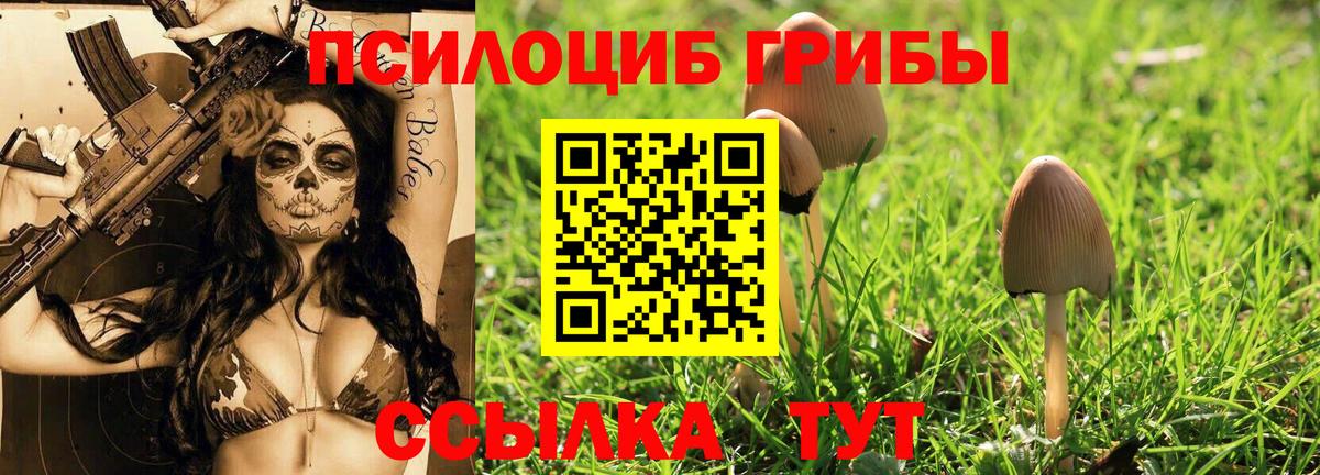 Галлюциногенные грибы Psilocybe  Галлюциногенные грибы Psilocybine cubensis  Нефтеюганск  Вход с VPN 